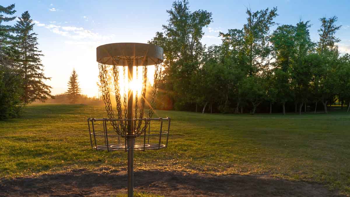 Best Disc Golf Discs For Forehand